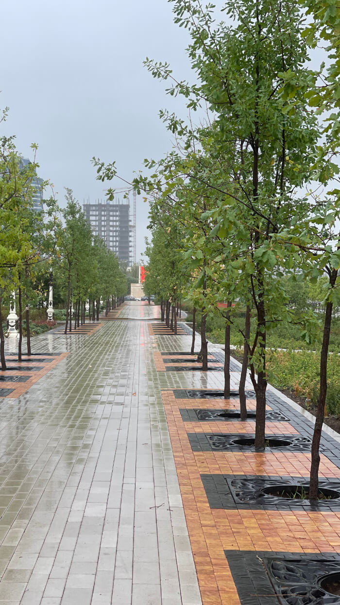 Приствольная решетка для дерева ZKING CRUST 1.2х1.2м Черная в Воскресенске фото