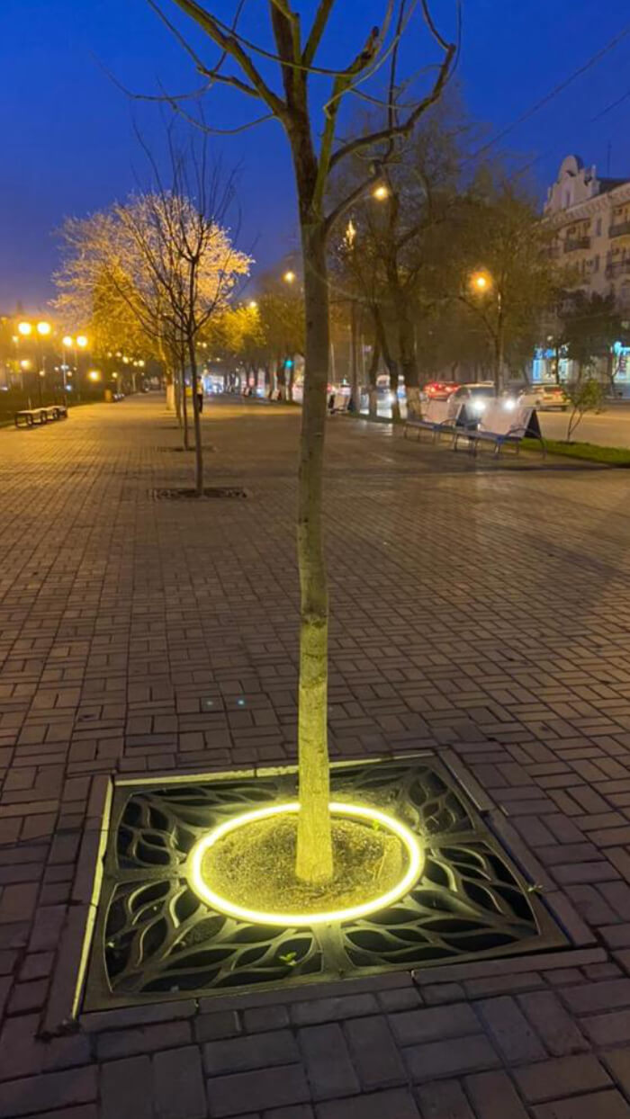 Приствольная решетка для дерева ZKING CRUST 1.2х1.2м Черная в Воскресенске фото